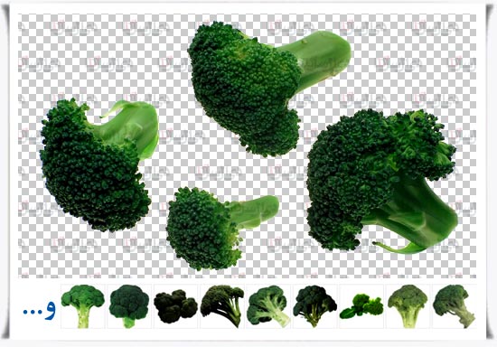 مجموعه فایل لایه باز کلم بروکلی با زمینه شفاف open layer Broccoli