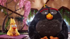پرندگان خشمگین 1 – The Angry Birds 1 